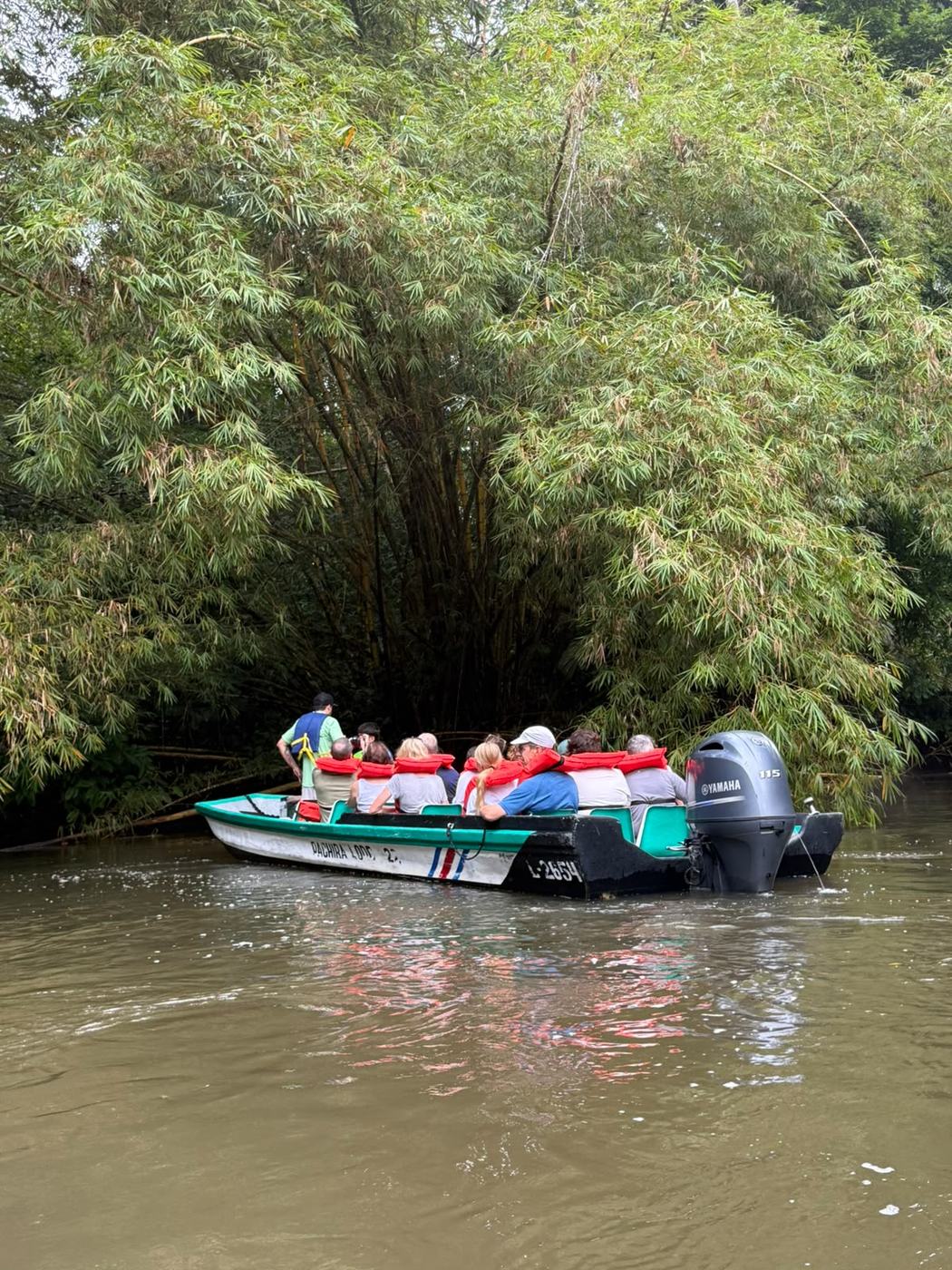 Guests on a guided boat tour through the Tortuguero jungle canals