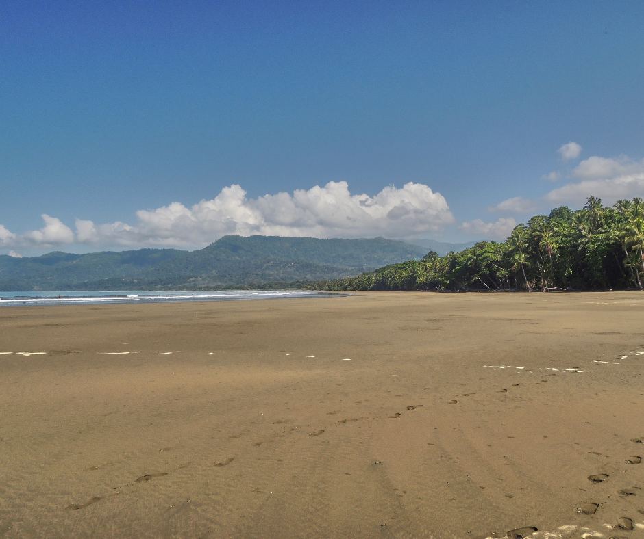 Marino Ballena National Park – Beach Walk in Corcovado & Marino Ballena, Costa Rica