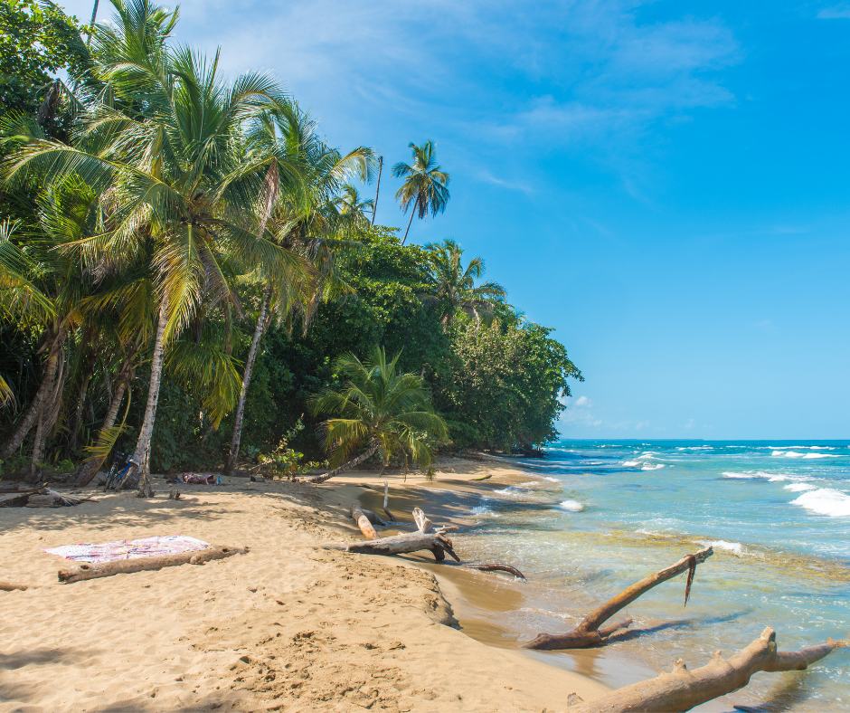Palm-fringed cove at Playa Chiquita