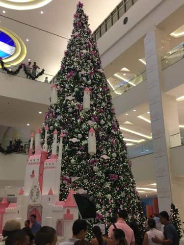 Christmas tree San Jose Costa Rica