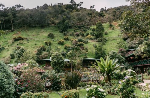 TROGON LODGE GARDENS