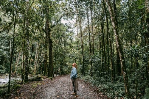 Light Parade San Jose Costa Rica