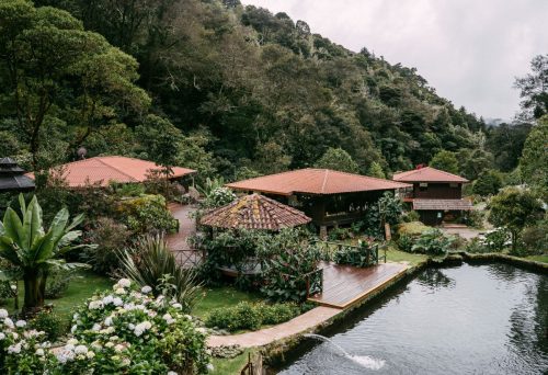 Trogon Lodge trout ponds