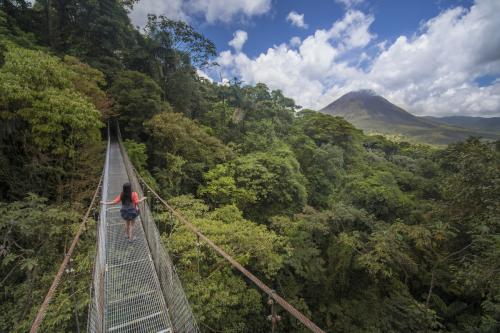 Arenal Hanging bridges tour
