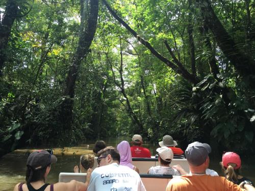 Canals-Tortuguero-tour (1)