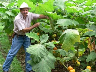 Don-Juan-con-pichichillo