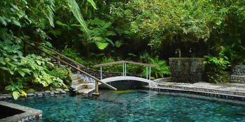 Ecotermales-Hot-Springs